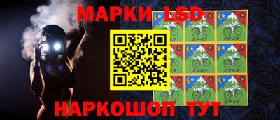 ешки Можга