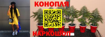 ешки Можга