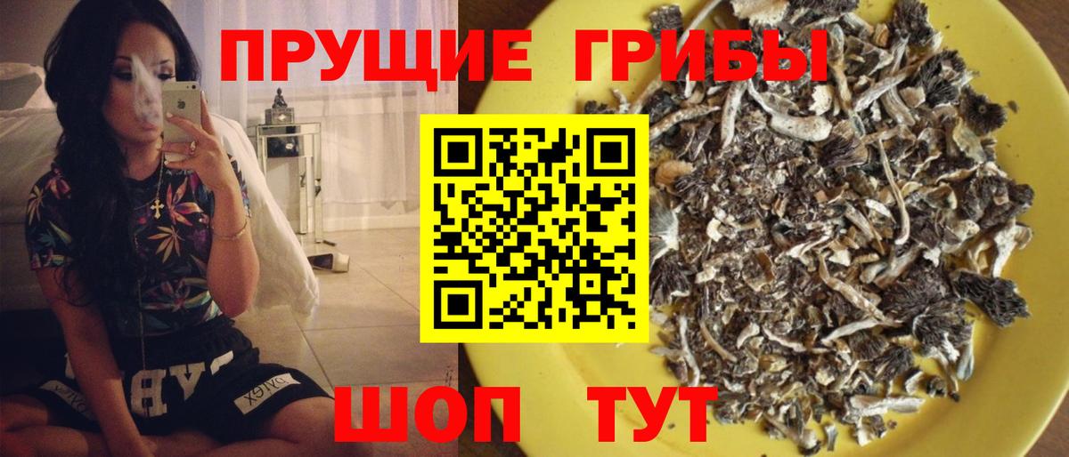 Псилоцибиновые грибы прущие грибы  Вход с VPN  Томск  Псилоцибиновые грибы Cubensis 